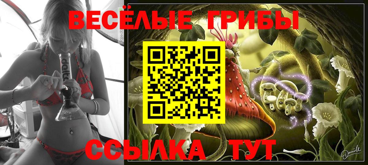 Псилоцибиновые грибы Psilocybine cubensis  Вход с VPN  Галлюциногенные грибы прущие грибы  Балашов 